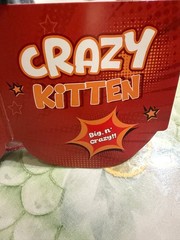 2025 UCC EXCLUSIVE Crazy Kitten 20″ Standing Cat Plushy BLACK WHITE ORANGE NEW