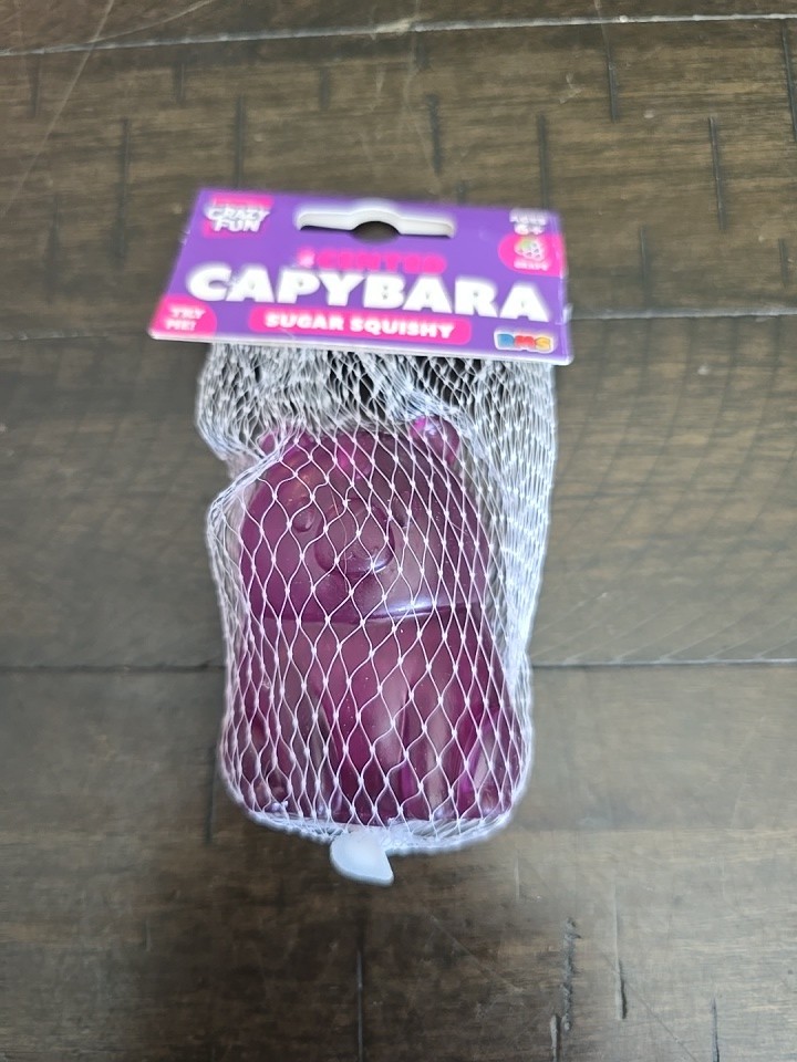 Crazy Fun RMS Grape Scented Purple Capybara Squishy