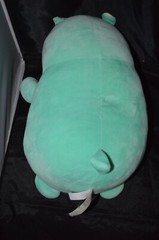 Squishmallow, Bunny, Plush Green Mint with Glitter Carrot 16″ D6