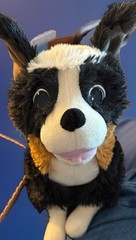 Wingfeather Nugget Angel Studios Saga Puppy Dog Plush Toy 10″ (49)