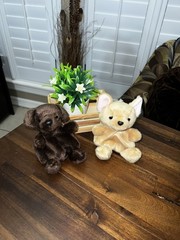 Aurora Palm Pals Sienna And Cookie Plush Puppy Toy Brown Tan Stuffed Dog 6”