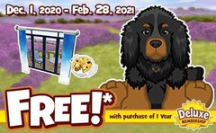 Webkinz Classic Gordon Setter *CODE ONLY* Promo Gift w/ 1 year membership