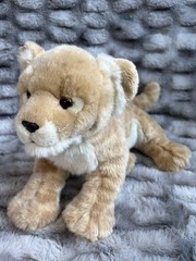 ⭐️CUSTOM⭐️ SOS Save Our Space Leosco Baby Lion Cub Big Cat Stuffed Plush READ⬇️