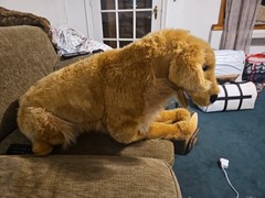 Melissa & Doug Golden Retriever Plush Dog 30” Life-Size Stuffed Animal Retired