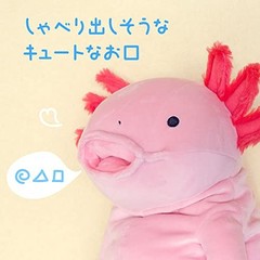 Shinada Global Mochi Axolotl Plush Keychain Stuffed Toy White 140mm 5.5 in Japan