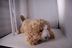 FAO Schwarz Adopt A Pets “Toby The Cockapoo” Lying Plush Stuffed Animal