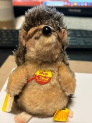 Steiff Joggi 6″ Hedgehog 1680/12 w/tag &Button