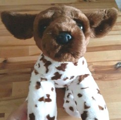 German Short Hair Plush Dog 12” Brown White Floppie Dog NWT