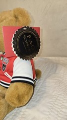 FAO Schwarz 1862 Varsity Jacket Teddy Bear