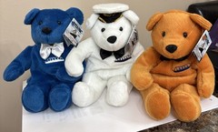 Vintage 1999 SS Titanic Limited Edition 3 Bears Number 20900 with Hangtag MWMT