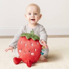 Sweetie Snuggles Plush Stuffed Animal – Strawberry: Non-Animal, 9.25 Inch Height