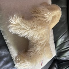 Douglas White Chocolate Cocker Spaniel Dog Tan Cream Beige Rare 2013 #1928