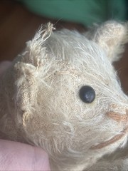 Antique Steiff? Old Worn Mohair Crouching Kitten Cat Shoe Button Eyes 9”