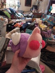 Snoozes By Plushie Love Magical Sleepy Companions Snail Mail