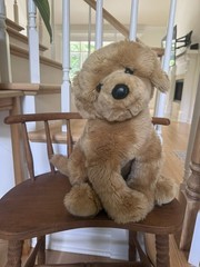 Douglas Cuddle Toys Honey Golden Retriever Plush Dog TM Tag 23″