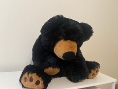 2014 Toys R Us Large Black Bear Plush – 24”