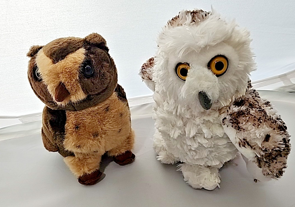 Lot 2 Plush Owls – Snowy Owl by Wild Republic, Brown Owl By Unipak