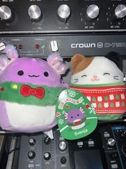 Cam The Calico Cat & Svenja Axolotl Bundle Squishmallow 5”