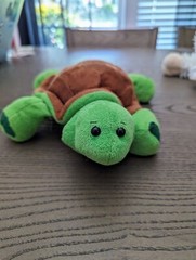 Webkinz Turtle HM150 No Code Active Plush Stuffed Animal GANZ 2008