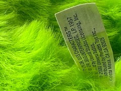 16″ Plush How the Grinch Stole Christmas Glowing Growing Heart Dr Seuss