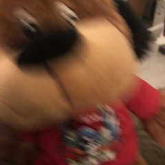 New Bret Michaels Pets Rock Plush Dog Chance 19″ Petsmart Lucky Luv a Pet (2013)