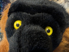 Wild Republic Realistic Plush Black Brown White Lemur Long Tail Yellow Eyes 11″