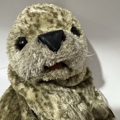 Folkmanis Hand Puppet Harbor Seal Realistic 19″ Imaginative Play Animal Sea Life
