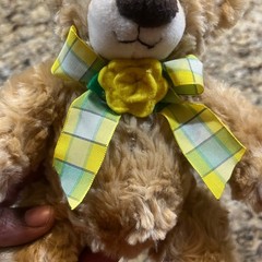 BOYDS BEAR Ray O. Plush Special Edition Daffodil Days Program American Cancer 6″