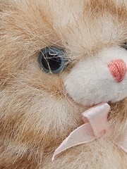 Vintage IFAW Miniature Tabby Orange Cat Kitten Pink Bow Plush Small 4” Blue Eyes