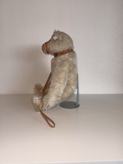 Steiff Muzzle Bear 1908 Replica 1988 Limited Edition #175/5000 Cert. w/ Growler
