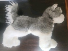 Sasha 10” Siberian Husky Douglas Plush Stuffed Animal Dog Cuddle Gray White Wolf