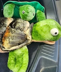 26″ Jumbo Giant Sea Turtle Plush + Large Stuffed Animal Turtle Pillow Friend