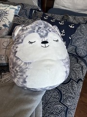 Squishmallow Heidi the Husky 16 inch Large Plush Grey Tye Dye