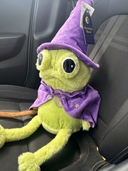 Moonlight Manor FROG WIZARD Plush GREEN/PURPLE Halloween with TAG Brand New NWT