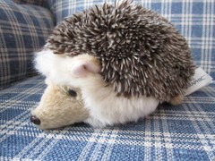 2017 Nat’l Geographic 7″ Plush Desert Hedgehog, EUC, 770833 by Lelly /Venturelli