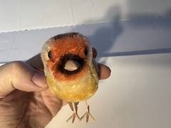 Steiff Bird Plush Stuffed Animal Vintage 1960 MPN 2564 Mini Yellow Ear Tag
