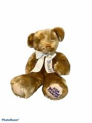 Snap Bunky Kids Beating Cancer Brown Bear Plush Toy 14″