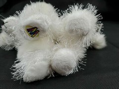 GANZ Webkinz Poodle White Puppy Dog Bean Bag Plush Stuffed Animal Toy NO CODE