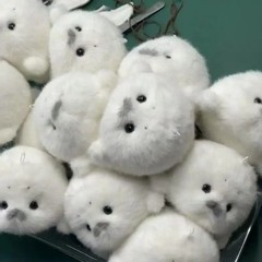 Cute Baby Seal Plush Toys, 12cm Realistic White Ocean Animal Stuffed