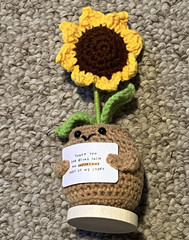 Gossby Sunflower Plush Small Brown/Yellow/Green w/ Gift Box