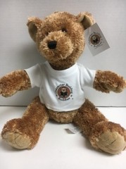 LEGOLAND Cali TEDDY Brown BEAR CHARACTER BUILDING BUDDIES STUFFED ANIMAL 15”