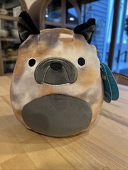 RARE NWT Squishmallows Ballis French Bulldog Dog 8” Puppy Soft Plush KellyToy