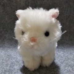 Webkinz Persian Cat Lil’ Kinz no code.