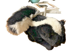 RBI Ron Banafato Inc. Stuffed Plush Skunk 14” 1997