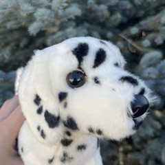 Douglas Cuddle Toys Evie Dalmatian Puppy Stuffed Animal #1923