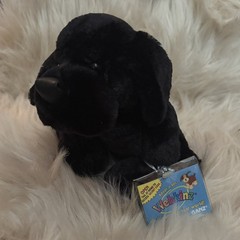 Webkinz BLACK LABRADOR Dog Plush HM100 BRAND NEW Factory Sealed Unused Code