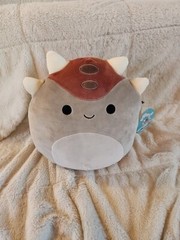 NWT Squishmallows 11” AINHOCA Ankylosaurus Gray Taupe Brown Armored Dinosaur