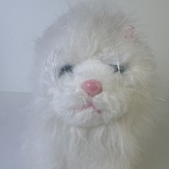 Webkinz White Persian Cat Stuffed Animal Plush Toy Ganz HM110 NO CODE TAG