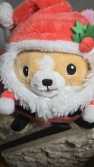 Squishable Undercover 9″ Corgi Santa Costume Plush Stuffed Animal Christmas New