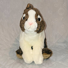 GANZ Webkinz Signature Dutch Bunny Plush Stuffed Animal WKS1011 No Code